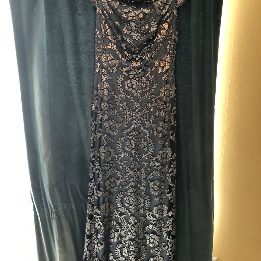 Tadashi Shoji Odette Gown